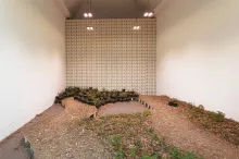 Pick Pocket Paradise, ph. ©Sebastiano Pellion di Persano, Courtesy Castello di Rivoli