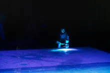 ThefutureisNOW fluxo_calderoni_caleo